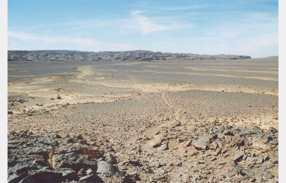app00050_2