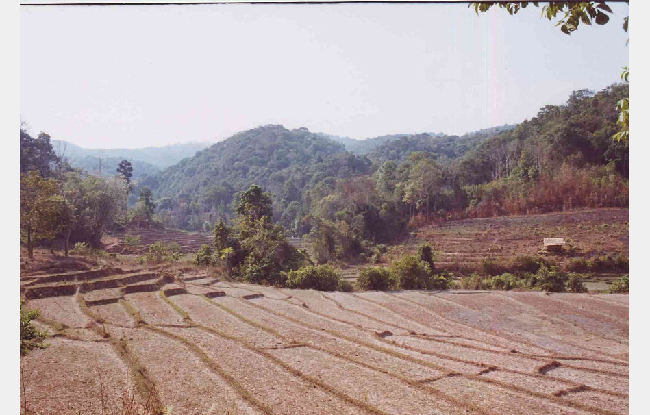 app00093_2