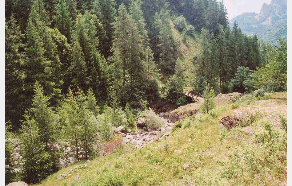 app00013_2