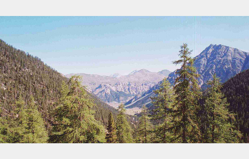 app00026_2